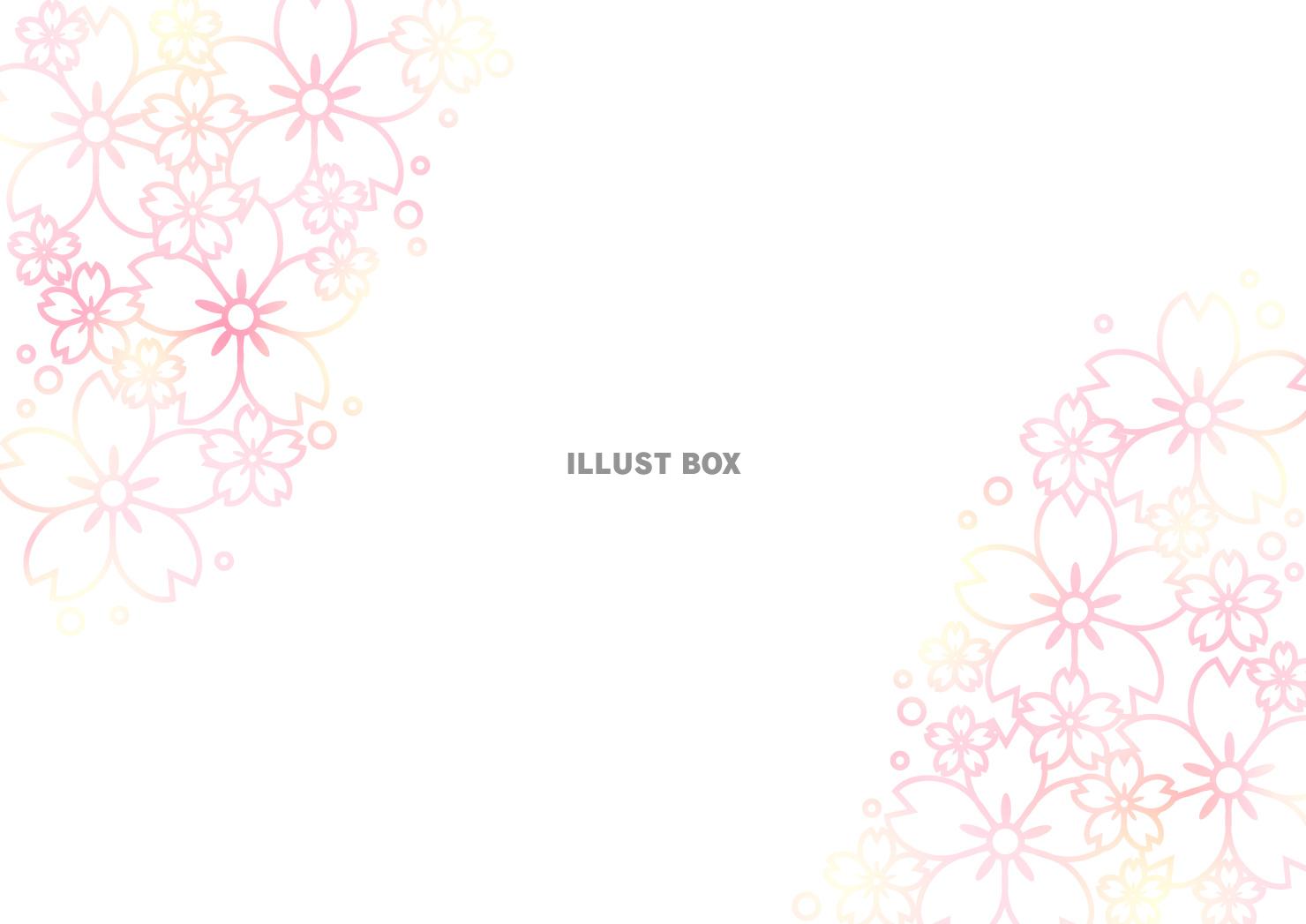 桜、線画、春、ピンク、横