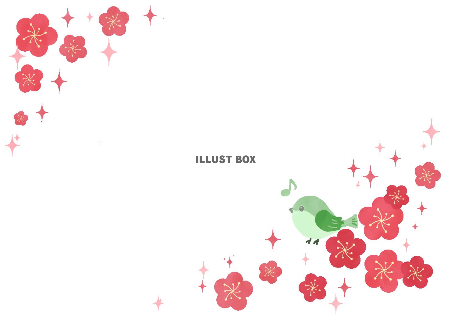 梅とメジロのフレーム