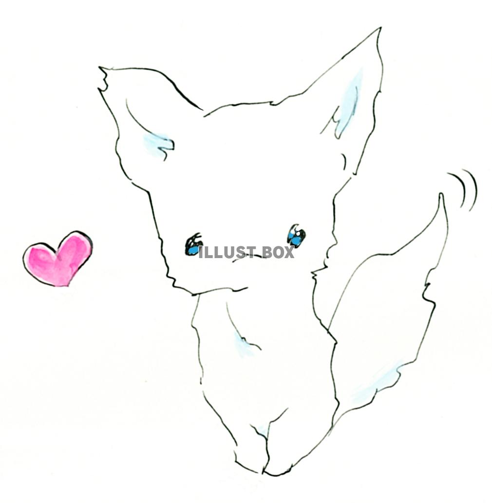 おさんぽ、だいすき！