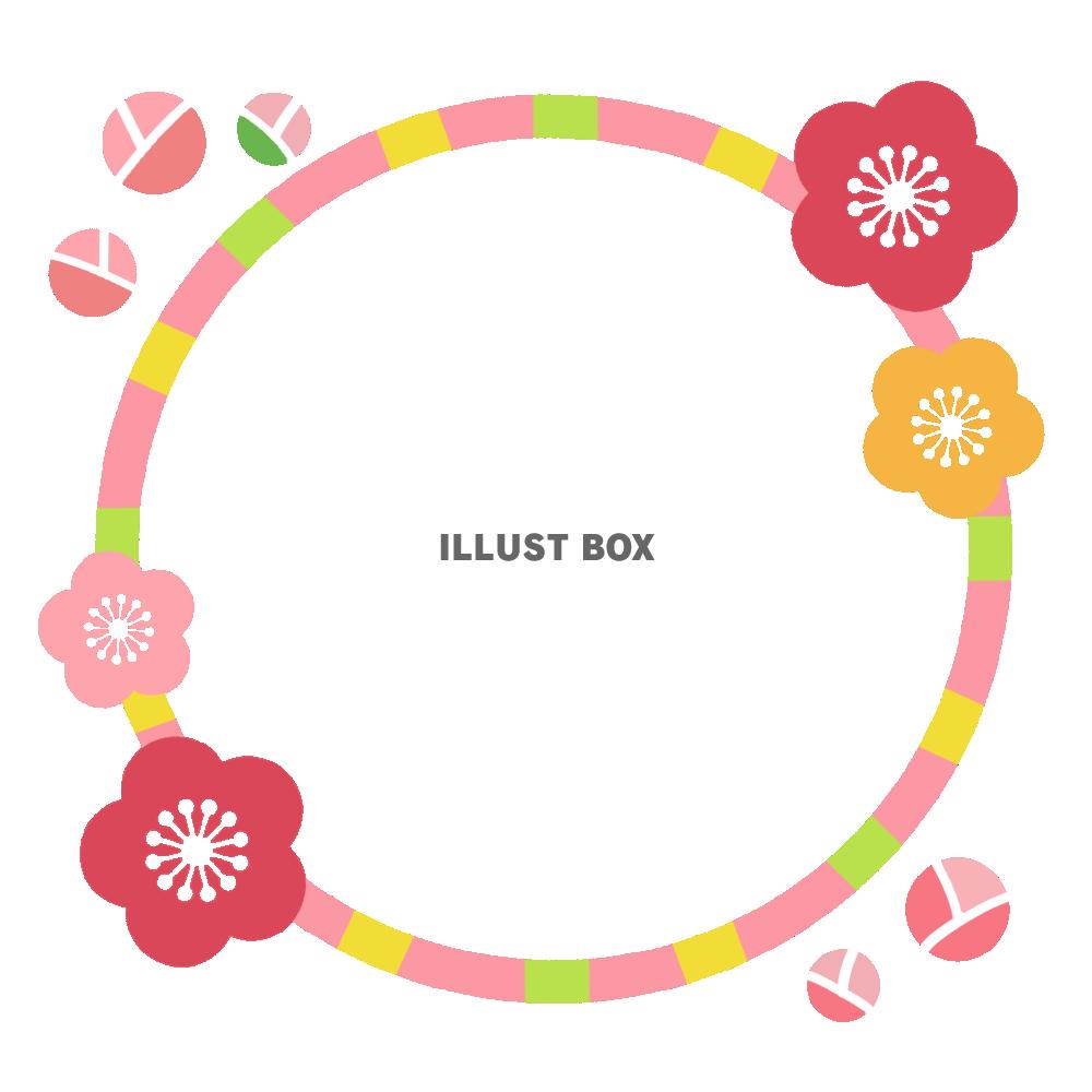 円形梅フレーム　透過png