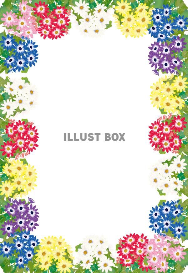 サイネリアフレーム（ZIPの透過PNGは５倍拡大可能・高解像...