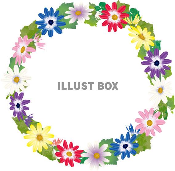 サイネリアリース（ZIPの透過PNGは５倍拡大可能・高解像度...