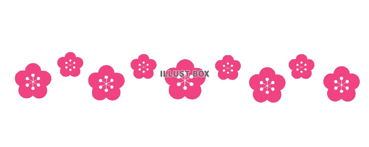 梅の花ライン　透過png