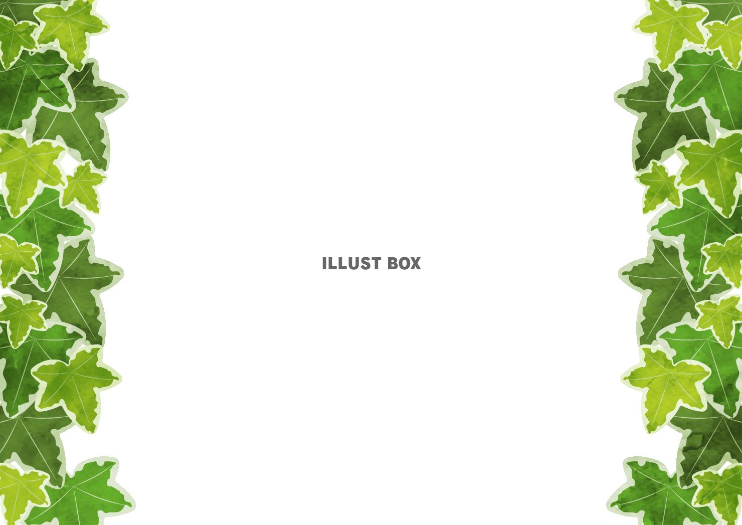 アイビーサイドフレーム、春、夏、横