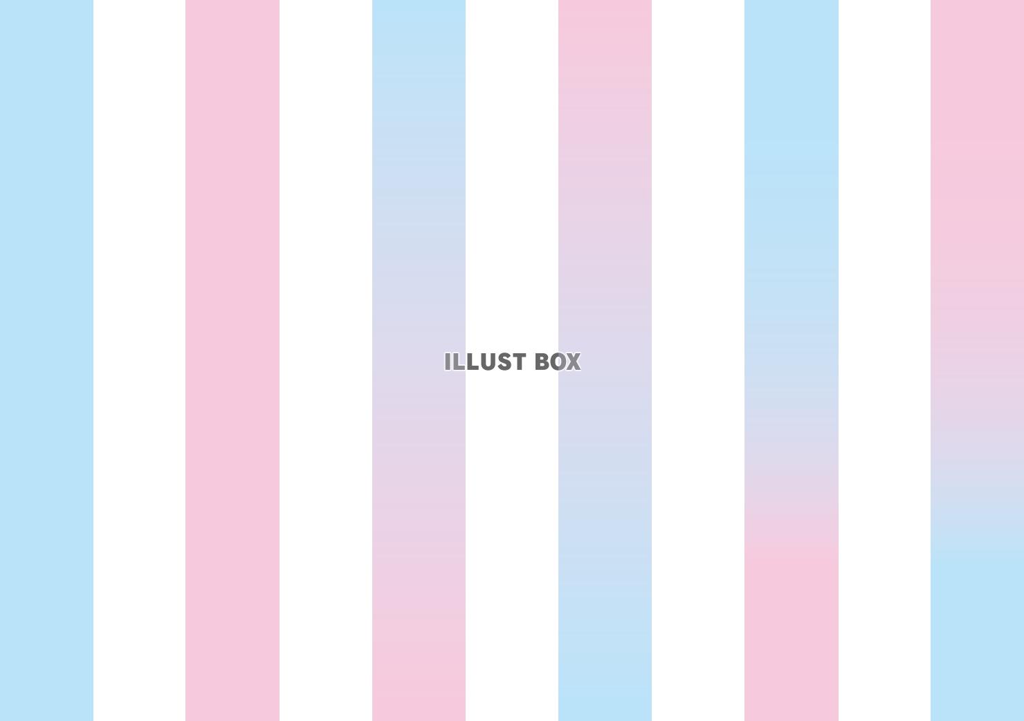 リトマス試験紙の色々な状態　セット