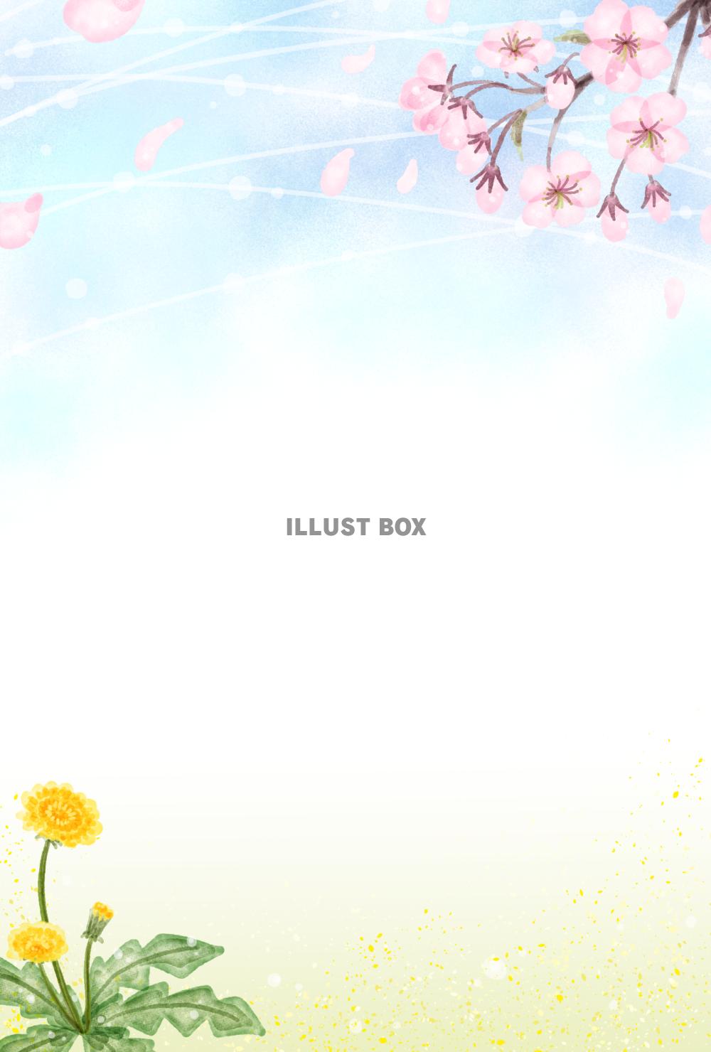 桜とタンポポのカード