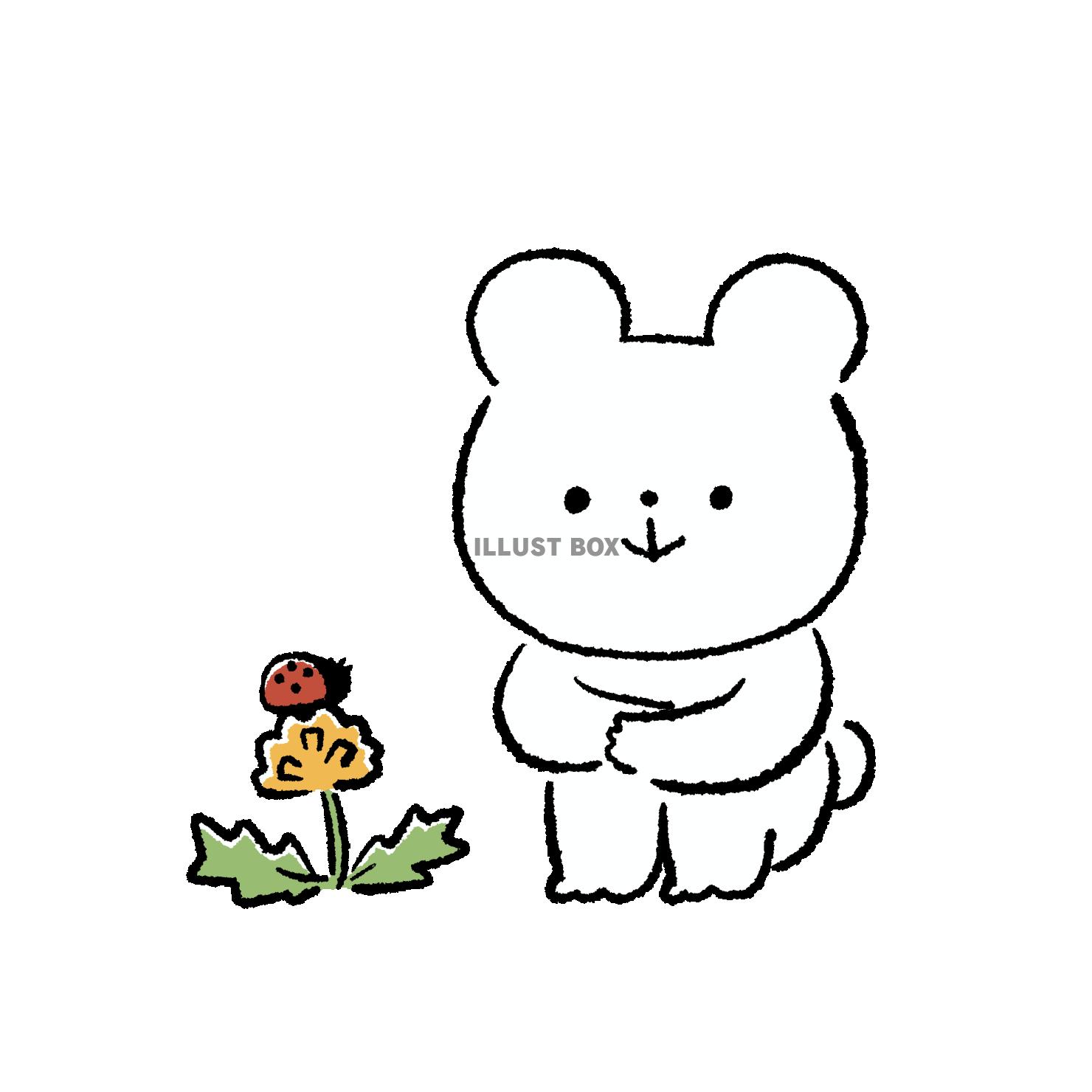 てんとう虫を眺めるくま