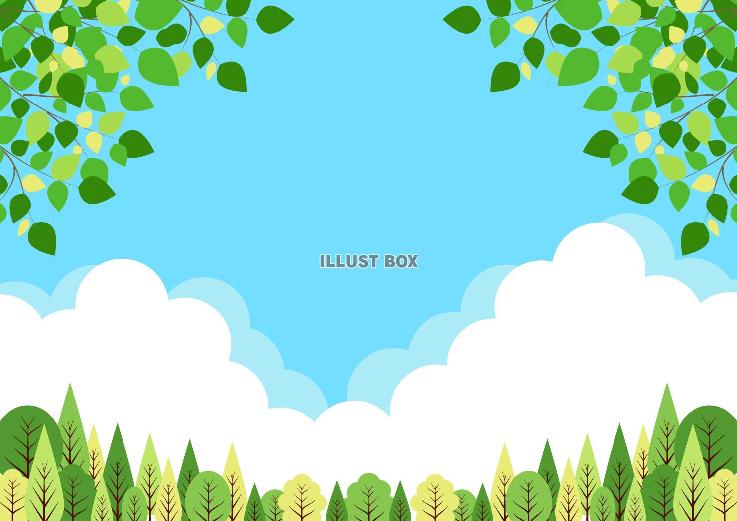 自然、背景、春、夏、縦、森林