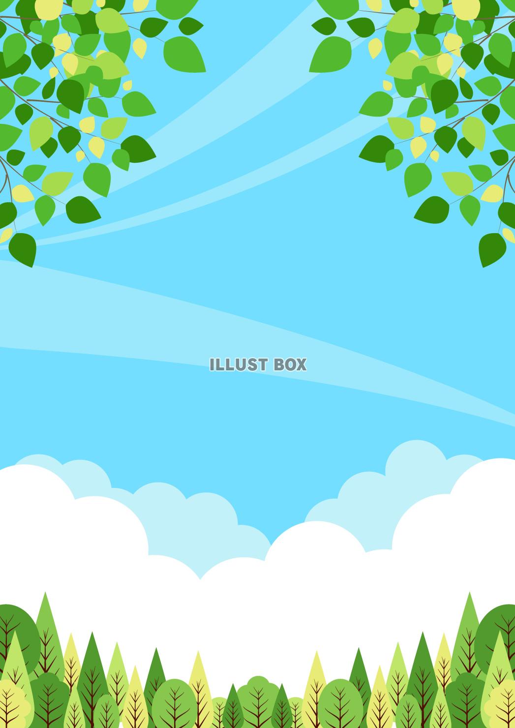 自然、背景、春、夏、縦、森林