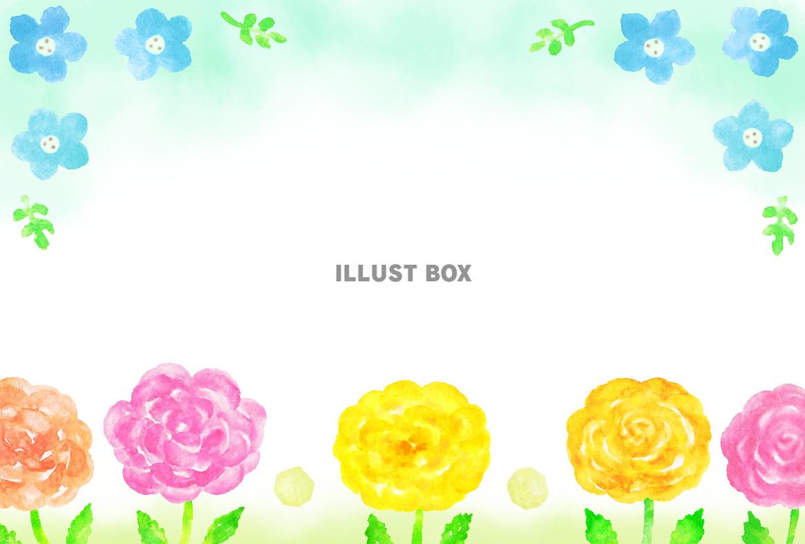 春のお花のグリーティングカード２