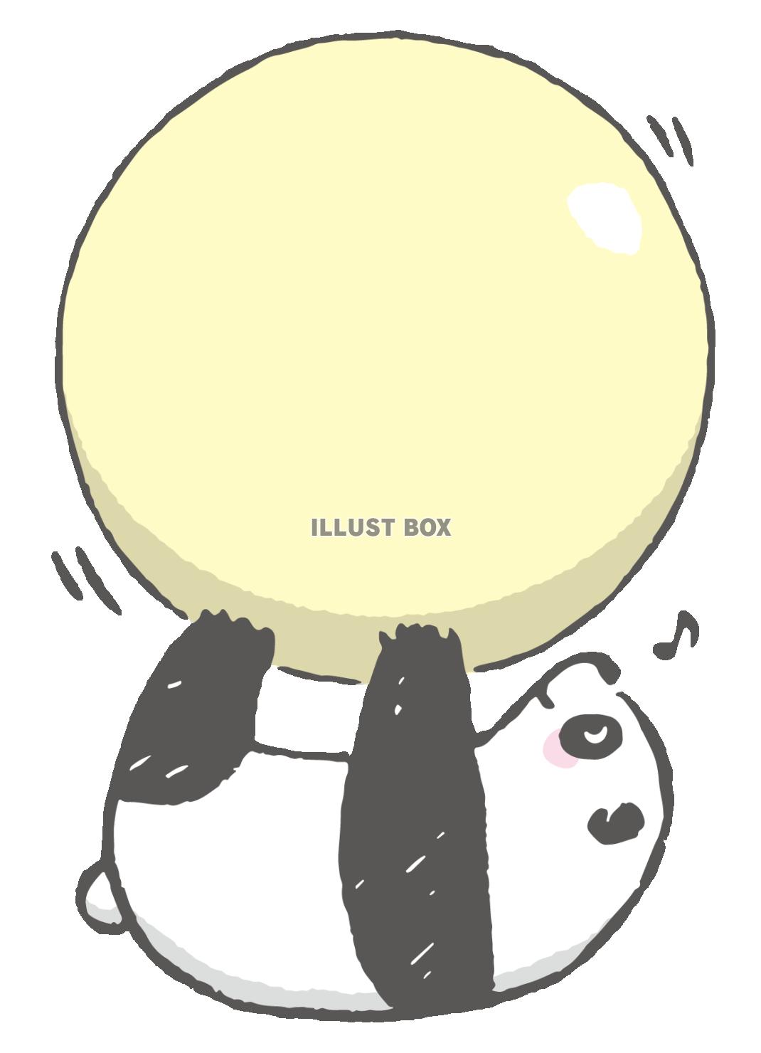 可愛いパンダの玉遊びゴロ寝ながら風船転がしフレーム枠