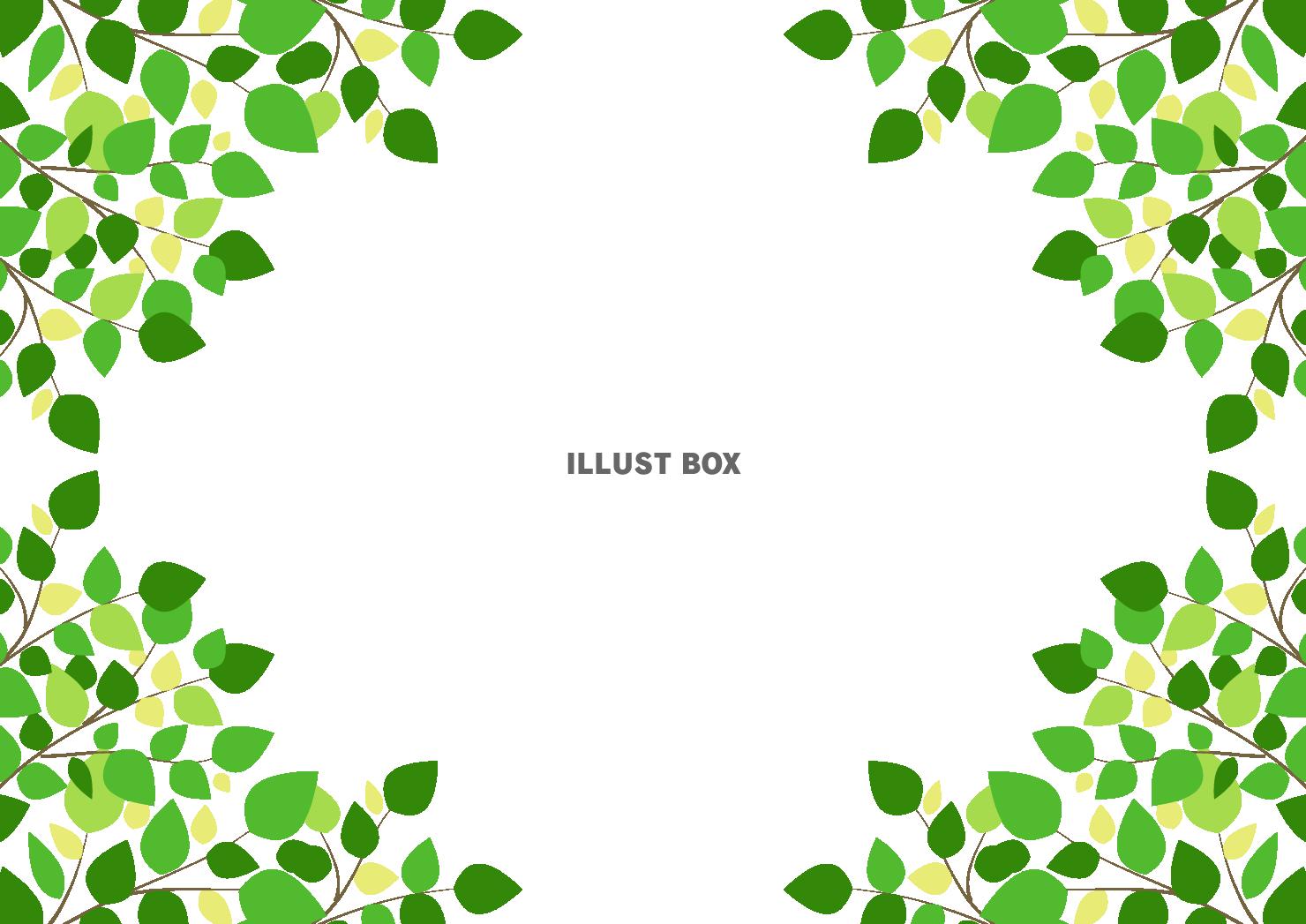 葉っぱ、囲み、新緑、フレーム