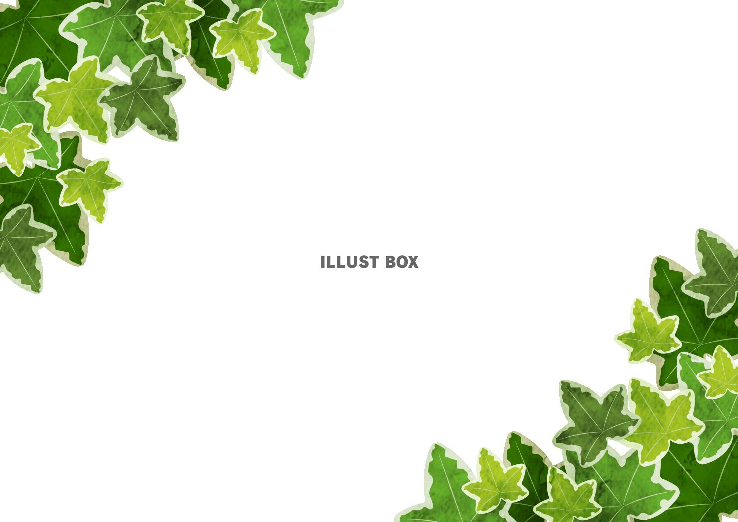 アイビー、葉、対角、蔦、水彩、フレーム