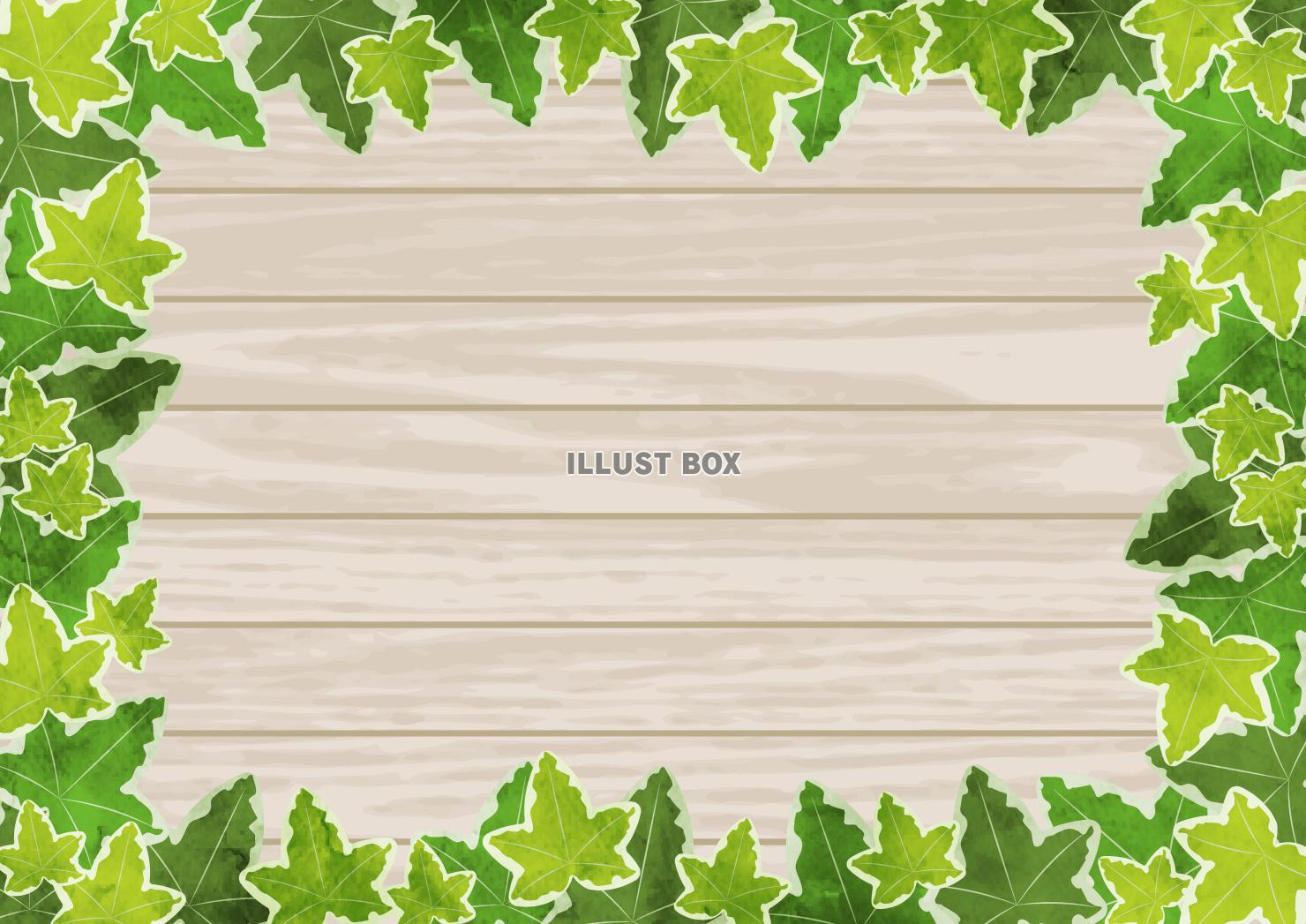 アイビー、葉、囲み、蔦、水彩、掲示板