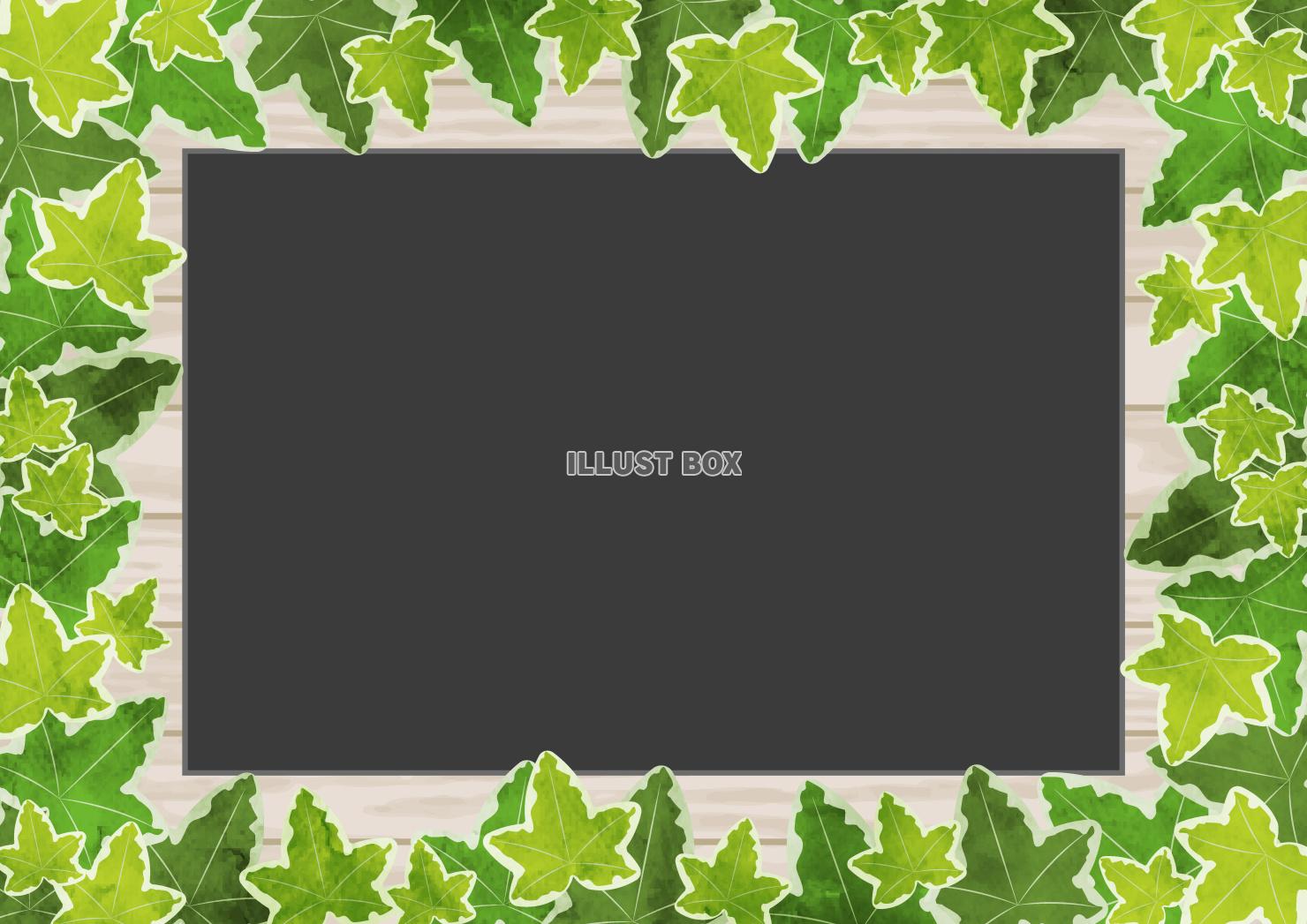 アイビー、葉、囲み、蔦、水彩、黒板
