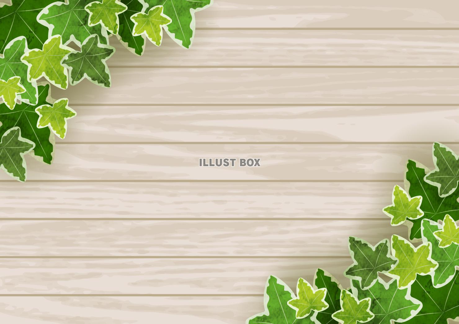 アイビー、葉、対角、蔦、水彩、掲示板