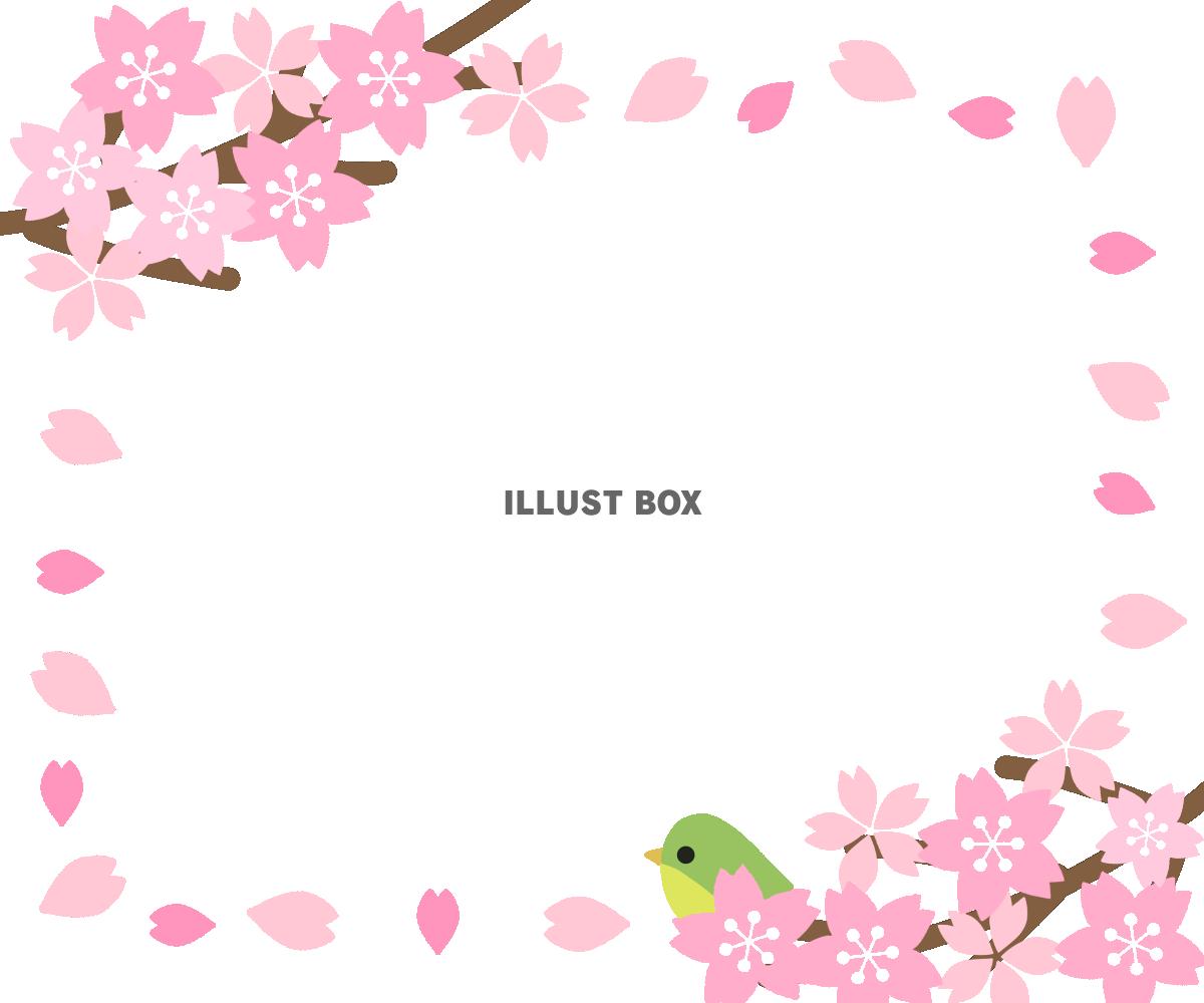 うぐいすと桜フレーム　透過png