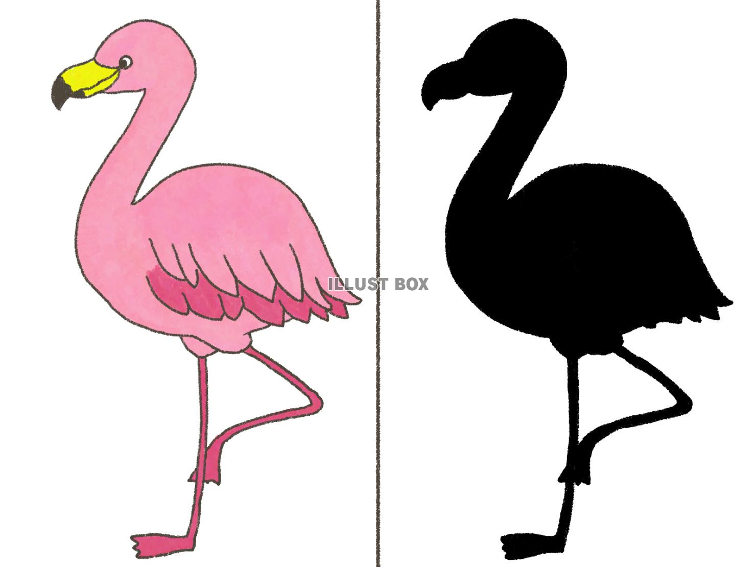 シルエットクイズ〜フラミンゴ〜（jpg）