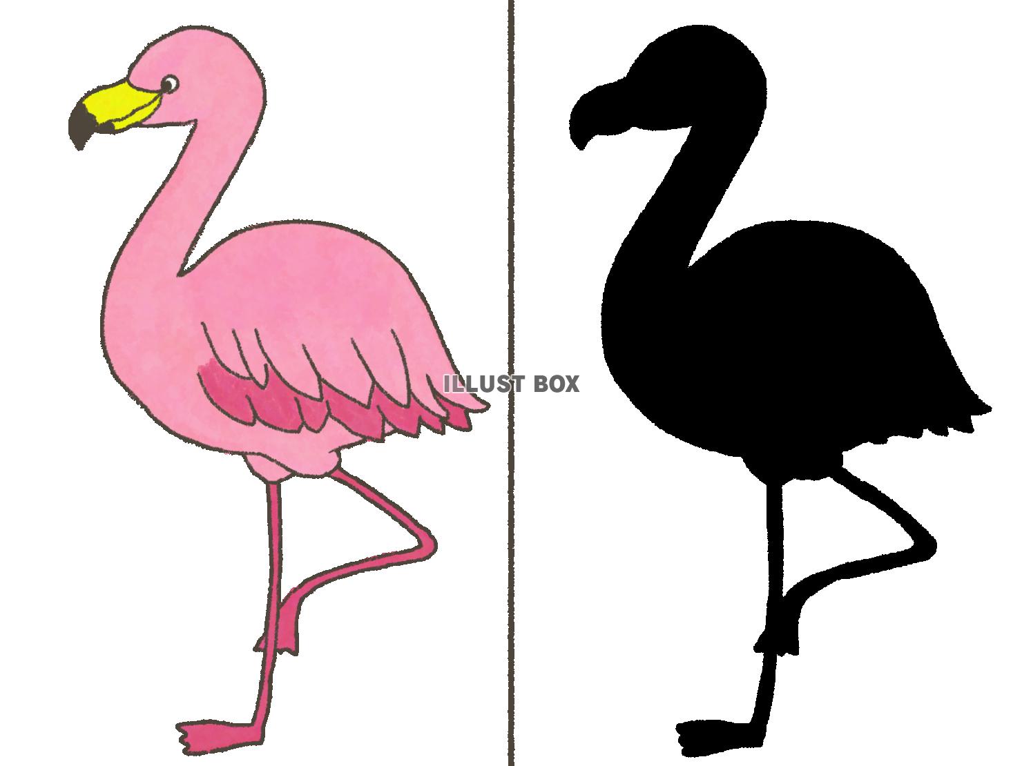 シルエットクイズ〜フラミンゴ〜（png）