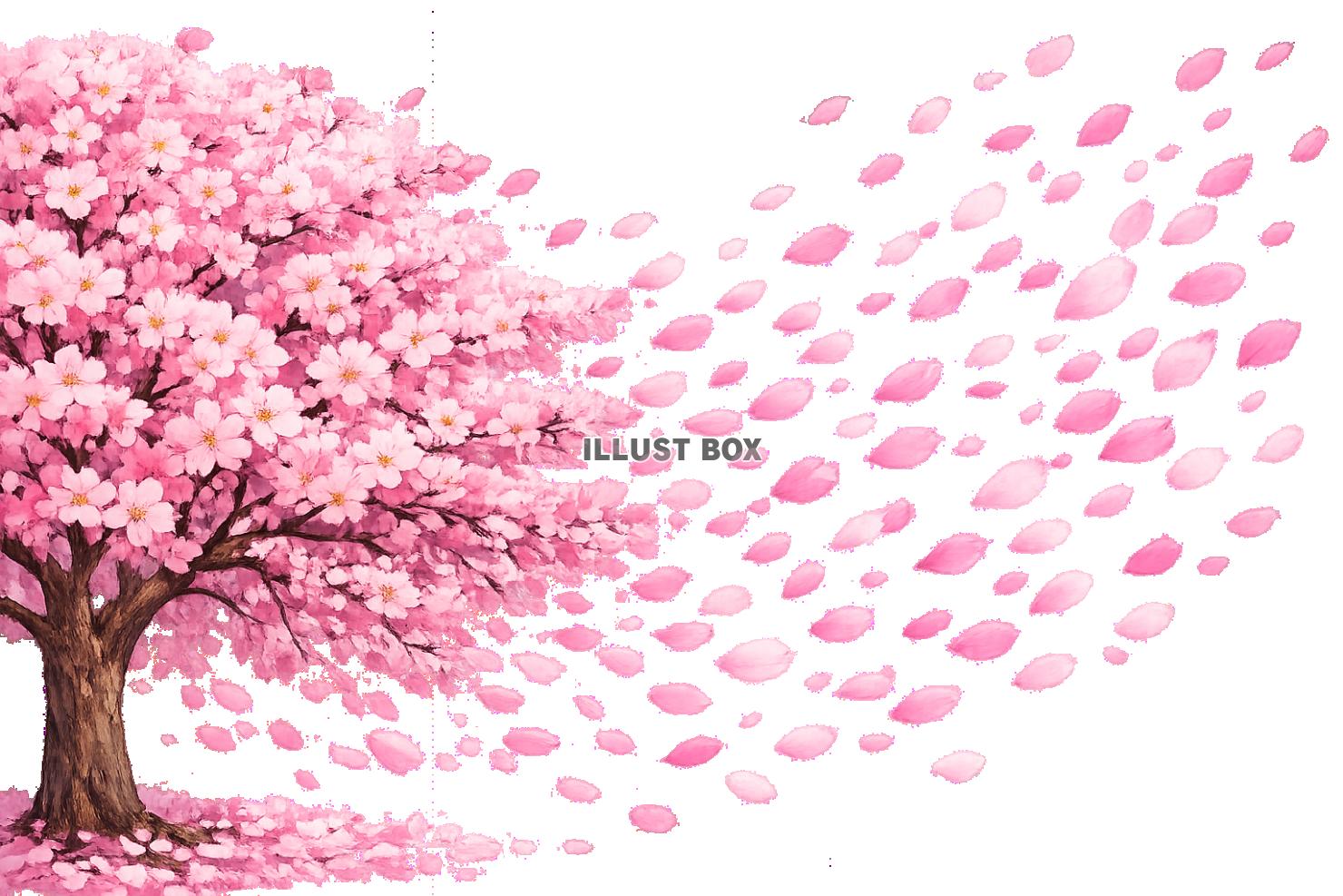 桜の木と花吹雪