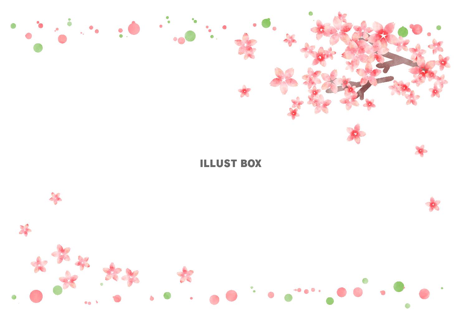 さくらフレーム