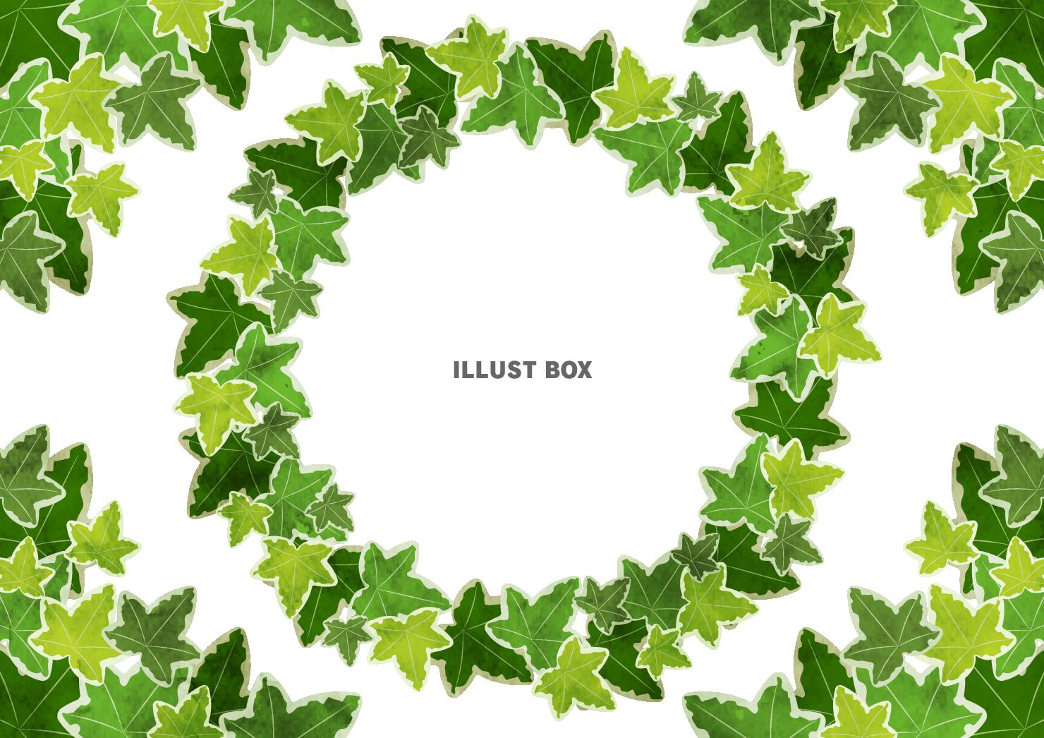 アイビーリースフレームセット