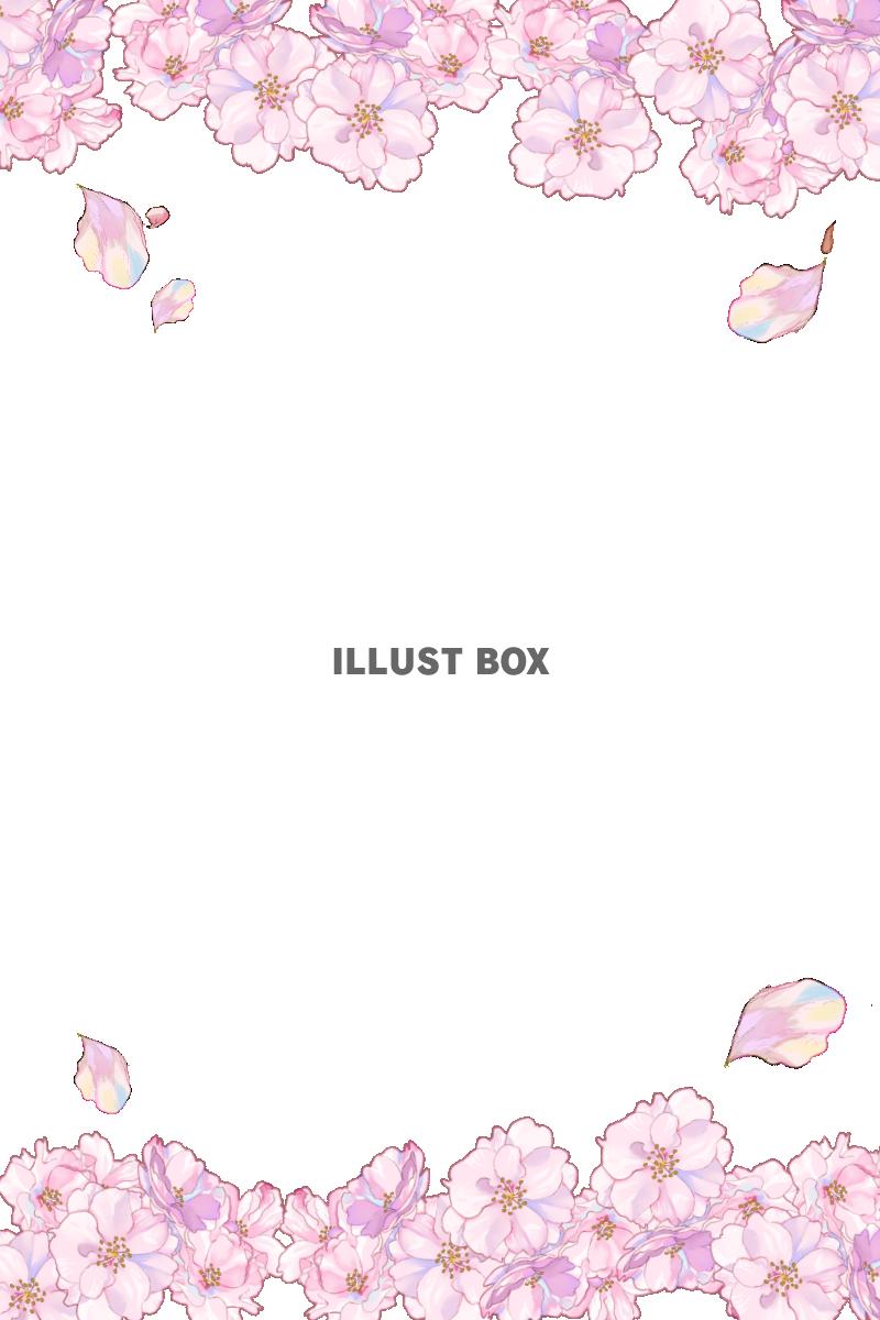 さくらと花びら縦型フレーム　透過png