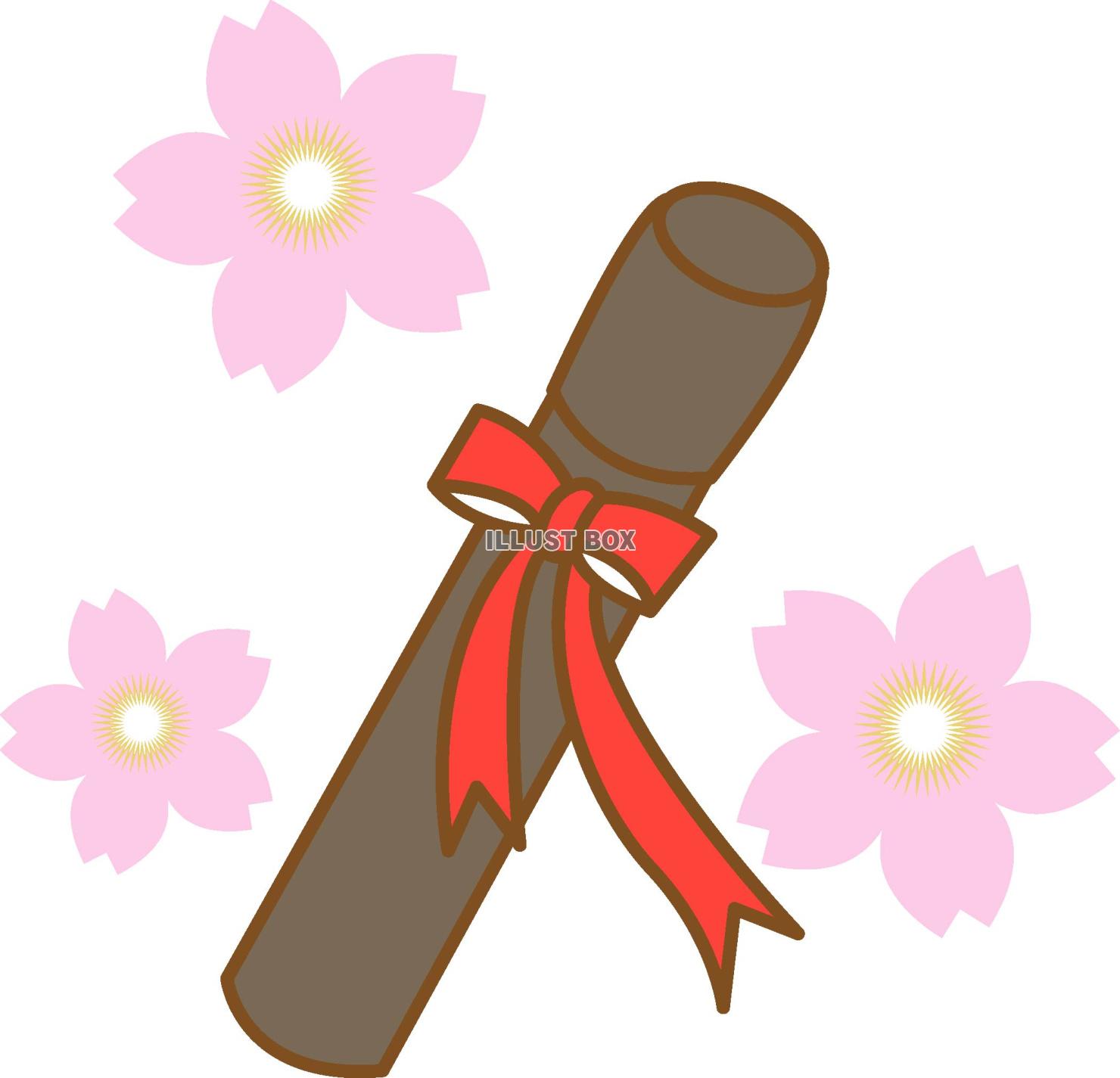 桜の花と卒業証書