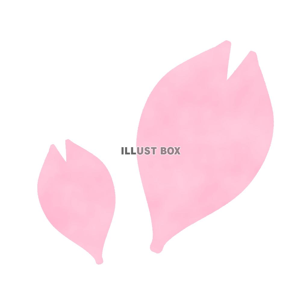 さくらの花びら　透過png