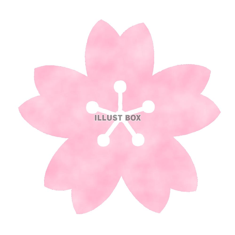 さくらワンポイント　透過png