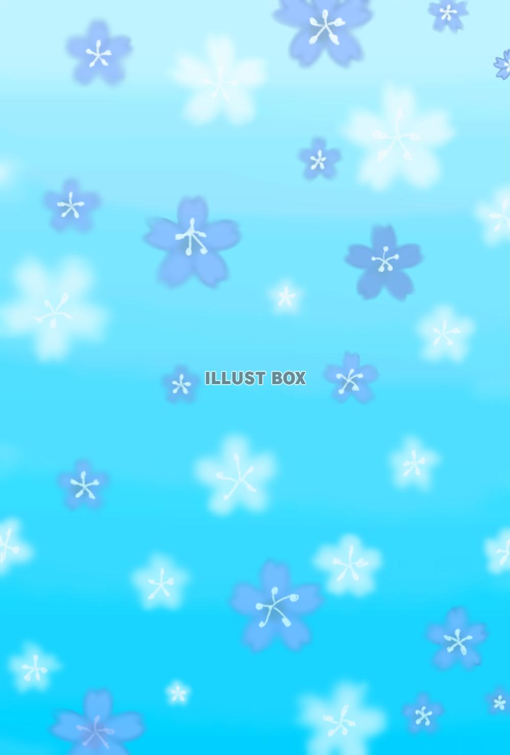 桜　ブルー×ホワイト