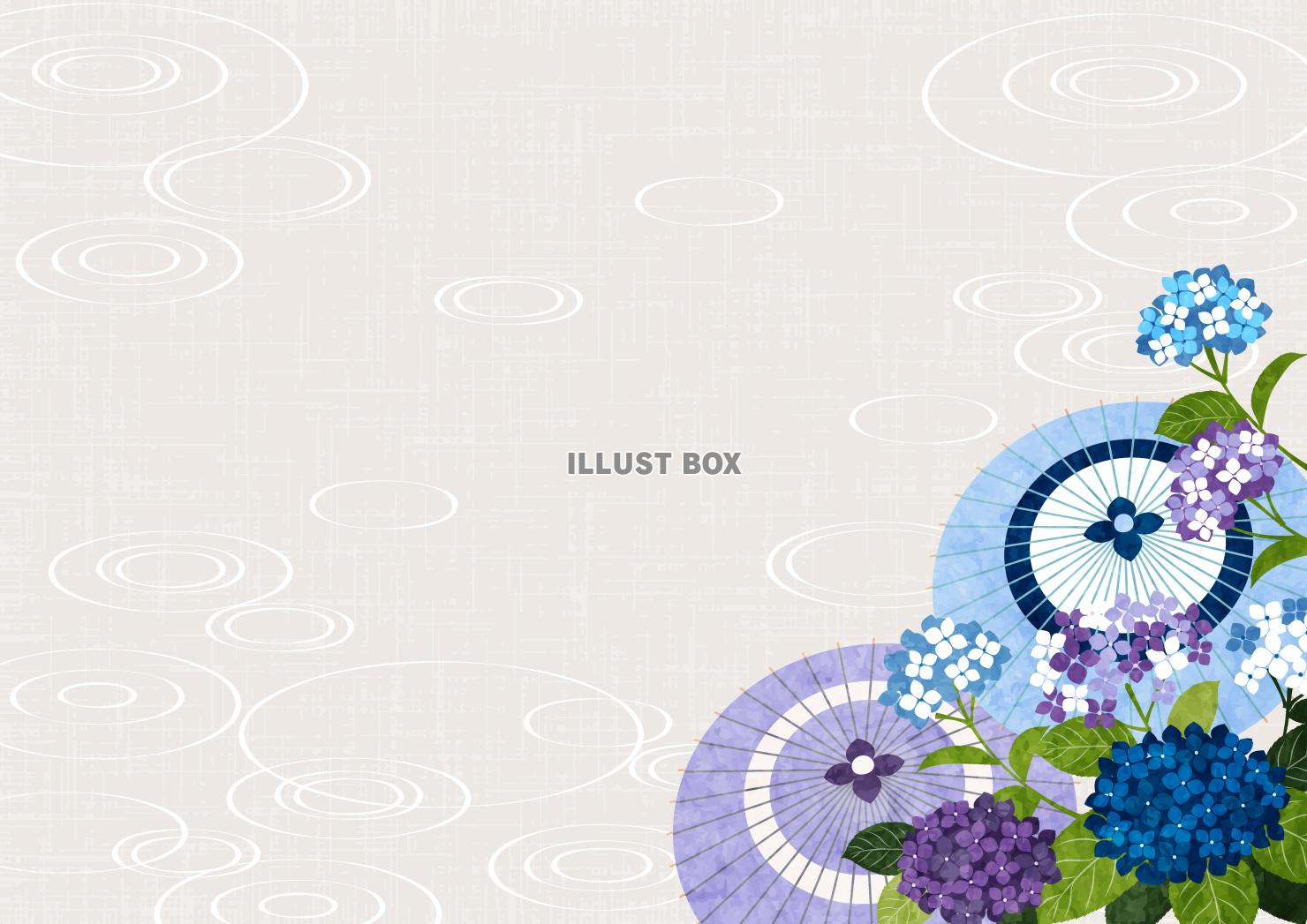 白、あじさい、和傘、波紋、和風、梅雨、横