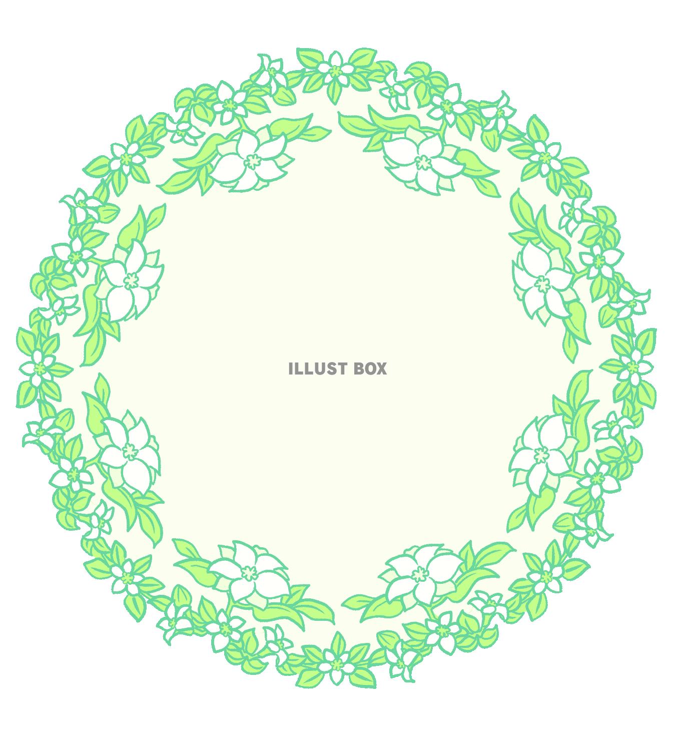 白い花の円形カード