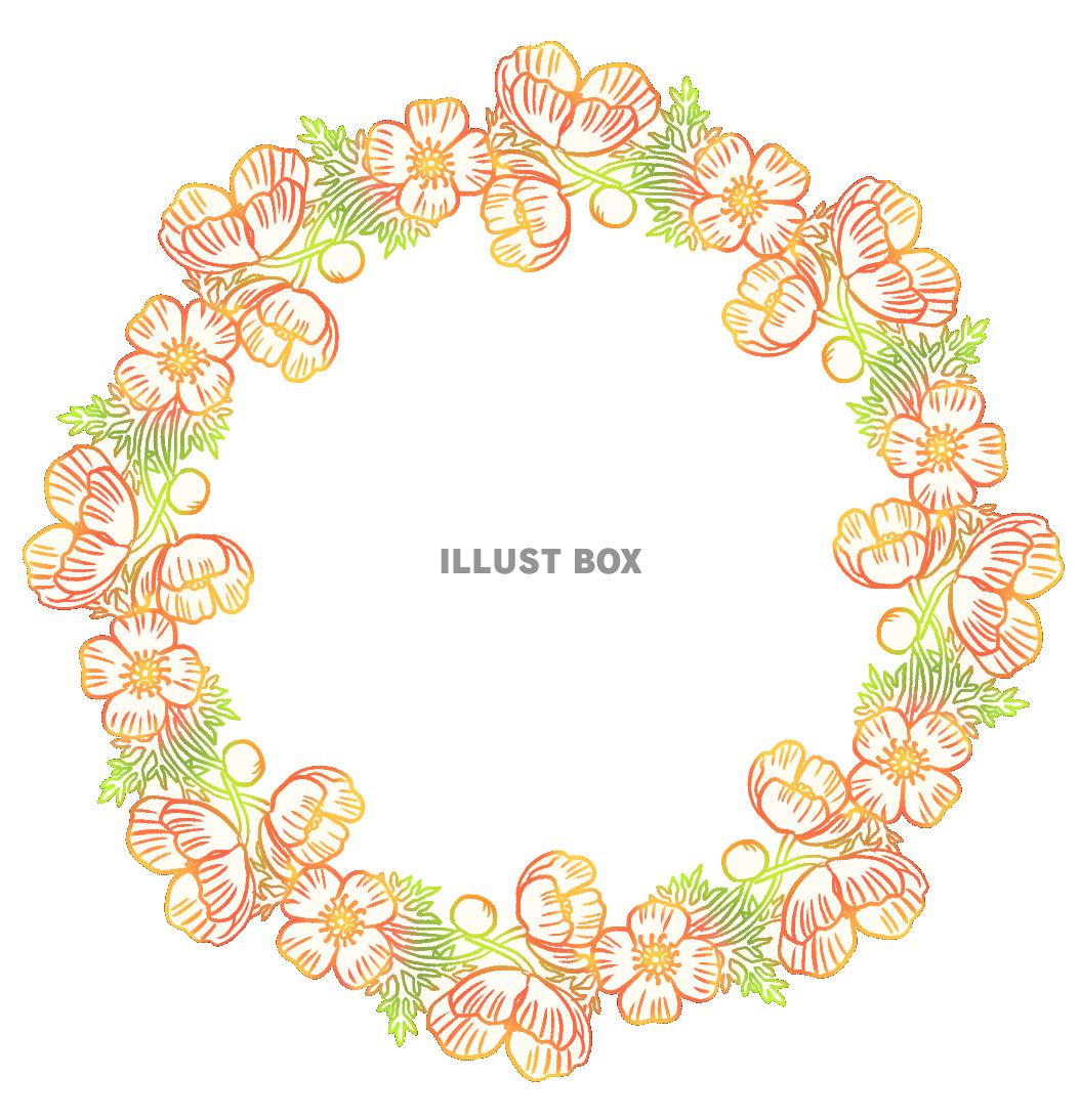 ポピーの円形カード