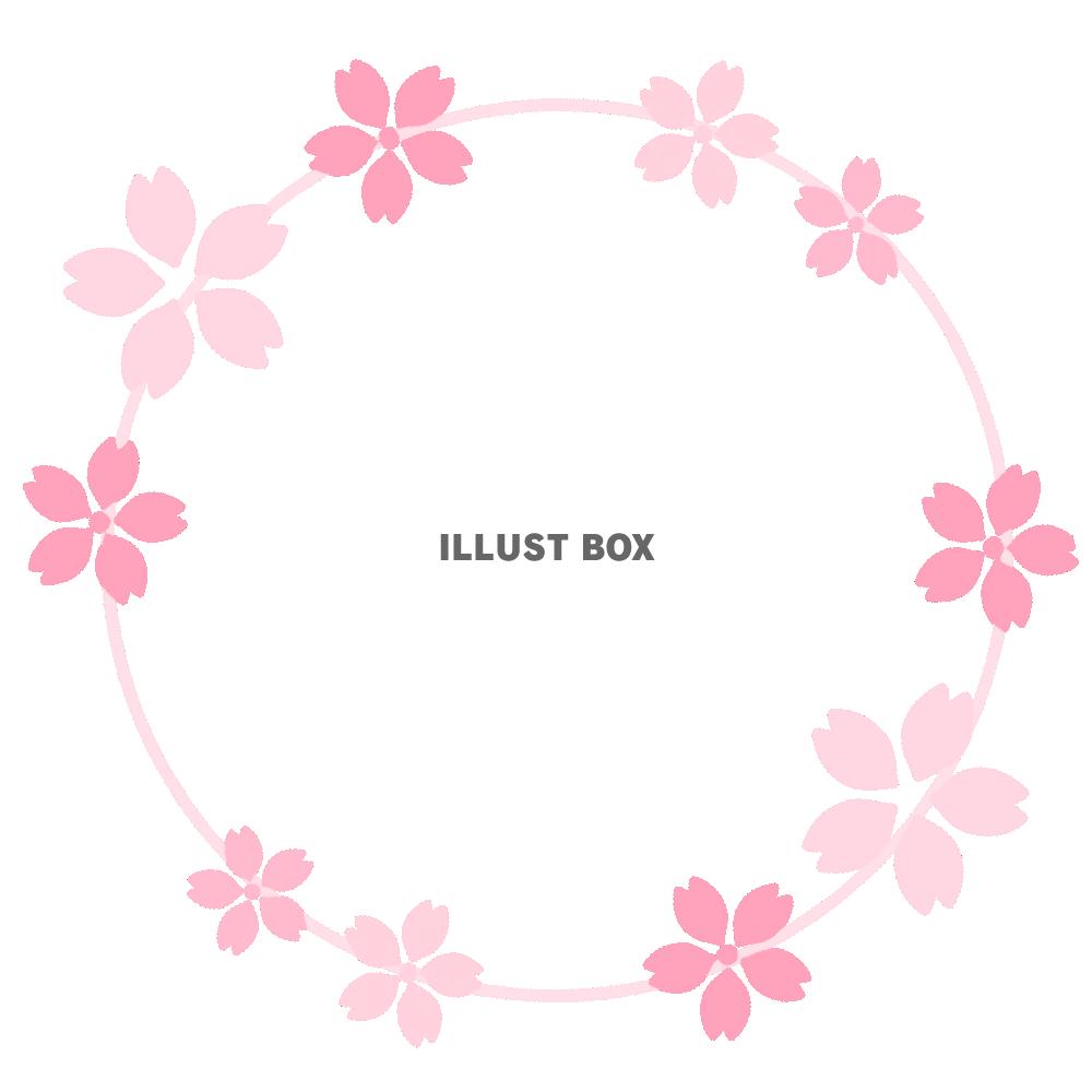円形さくらフレーム　透過png