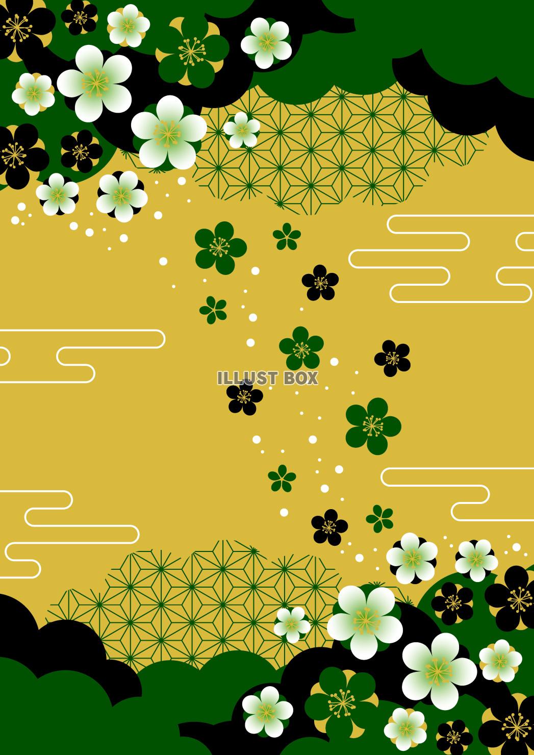 雲と梅の麻の葉模様・縦・金地に緑黒・背景