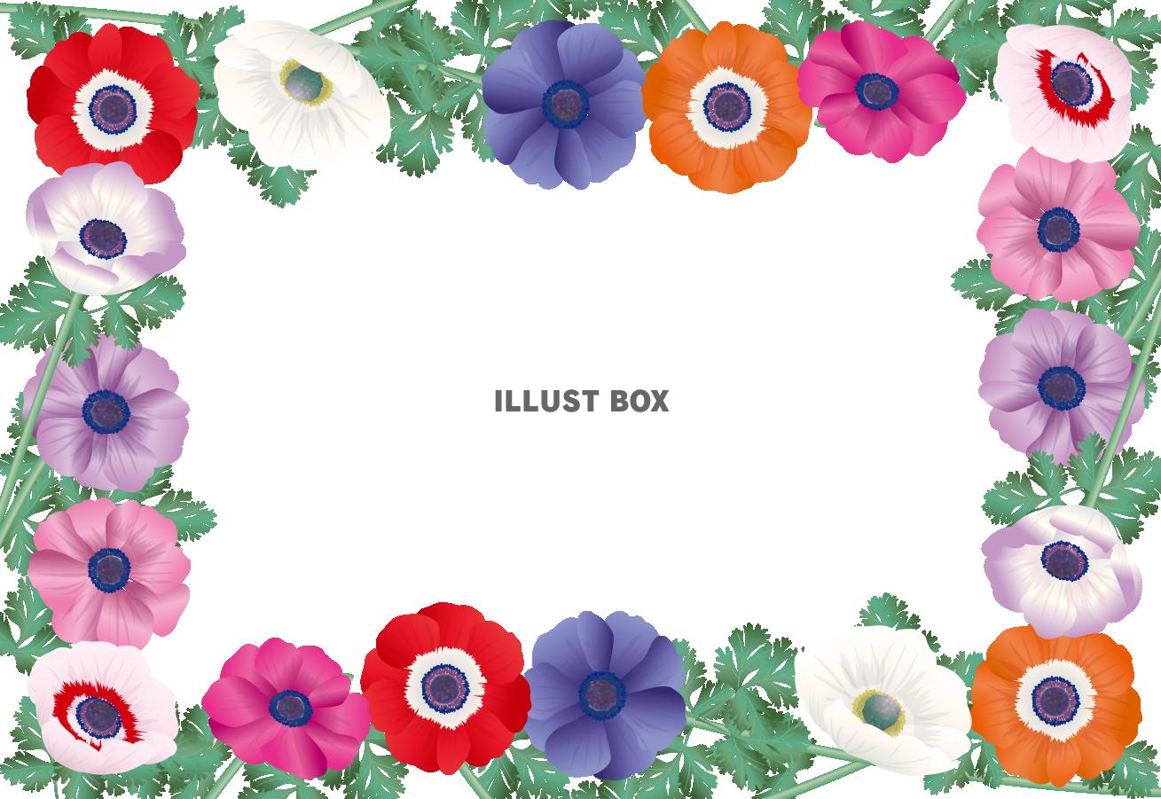 アネモネフレーム（透過PNG）ZIPのEPSはCS2版