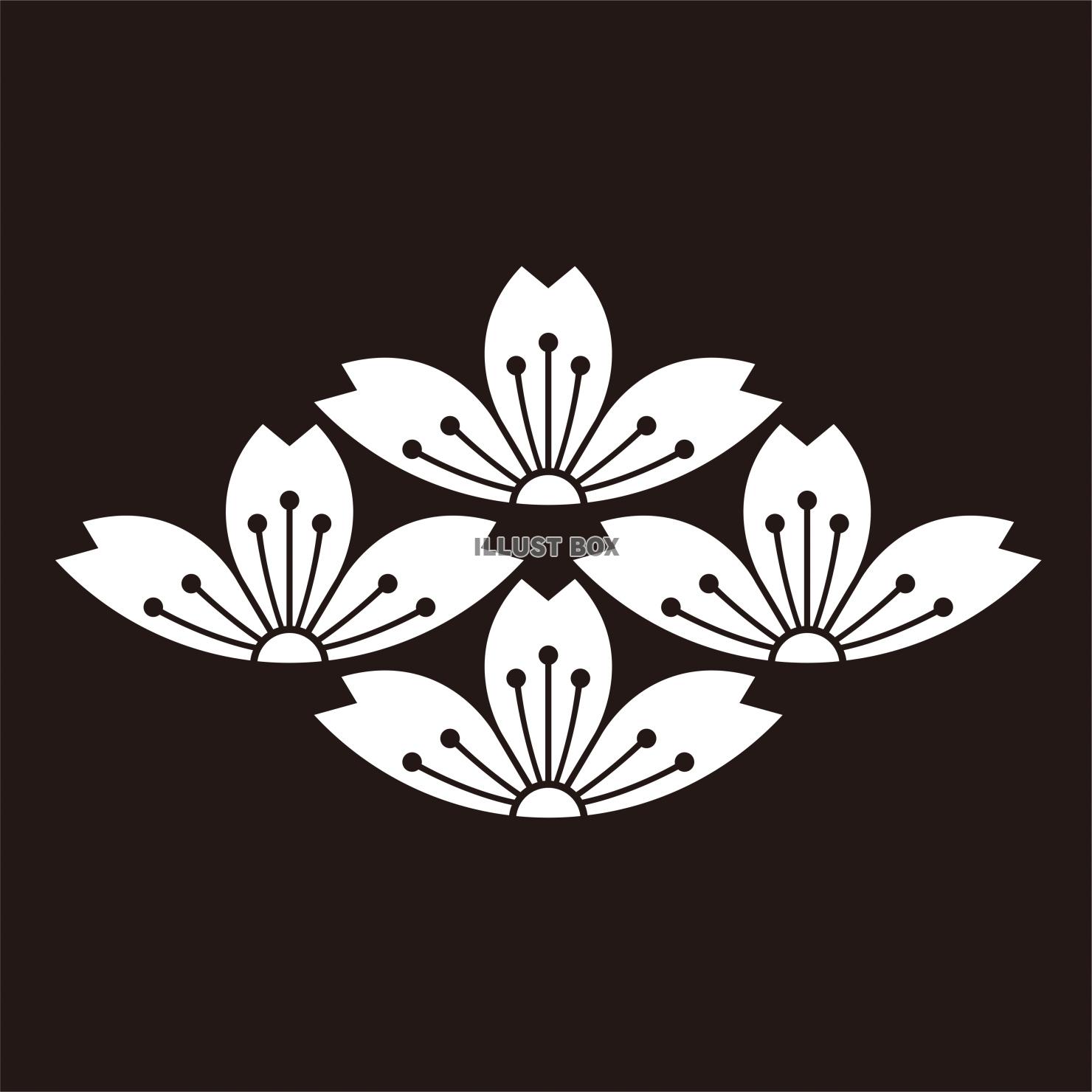 家紋　桜紋　