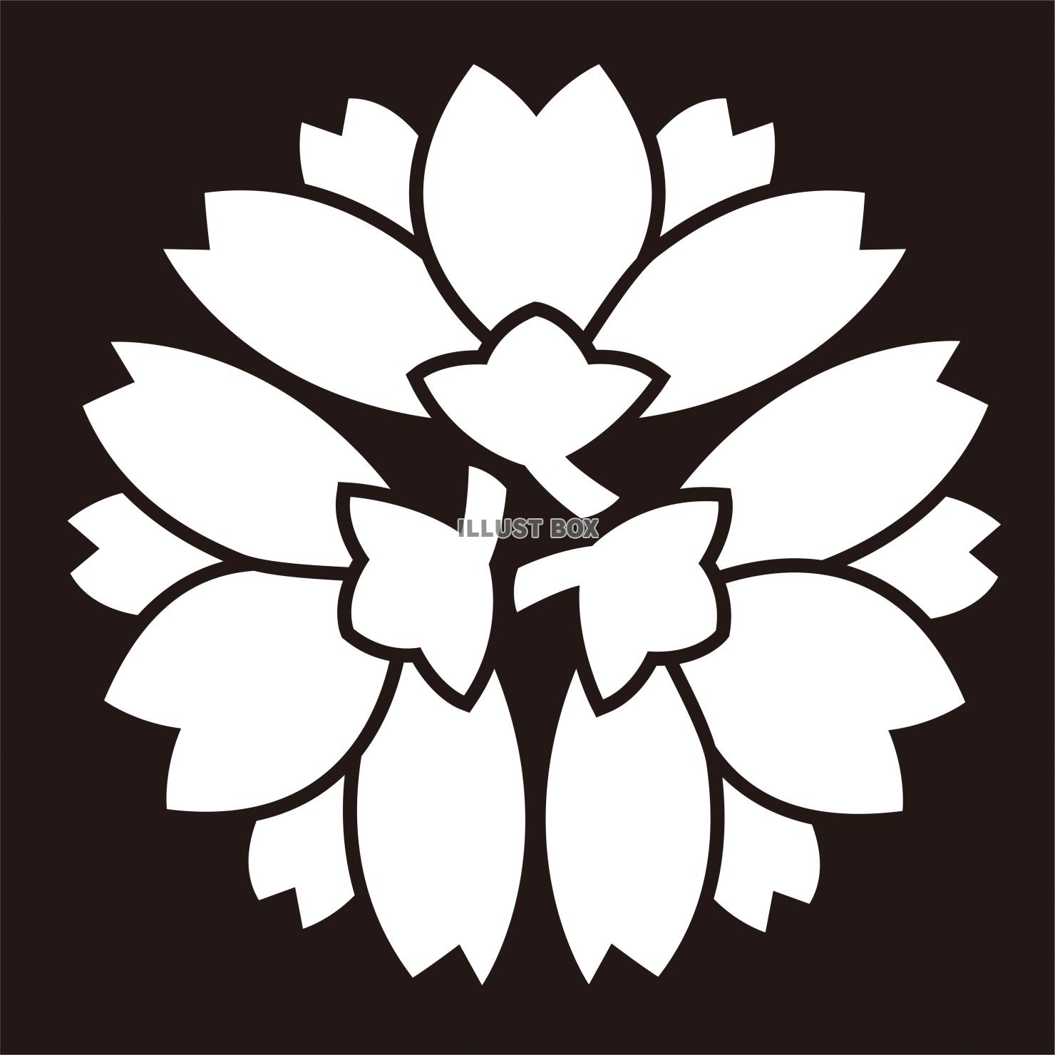 家紋　桜紋　
