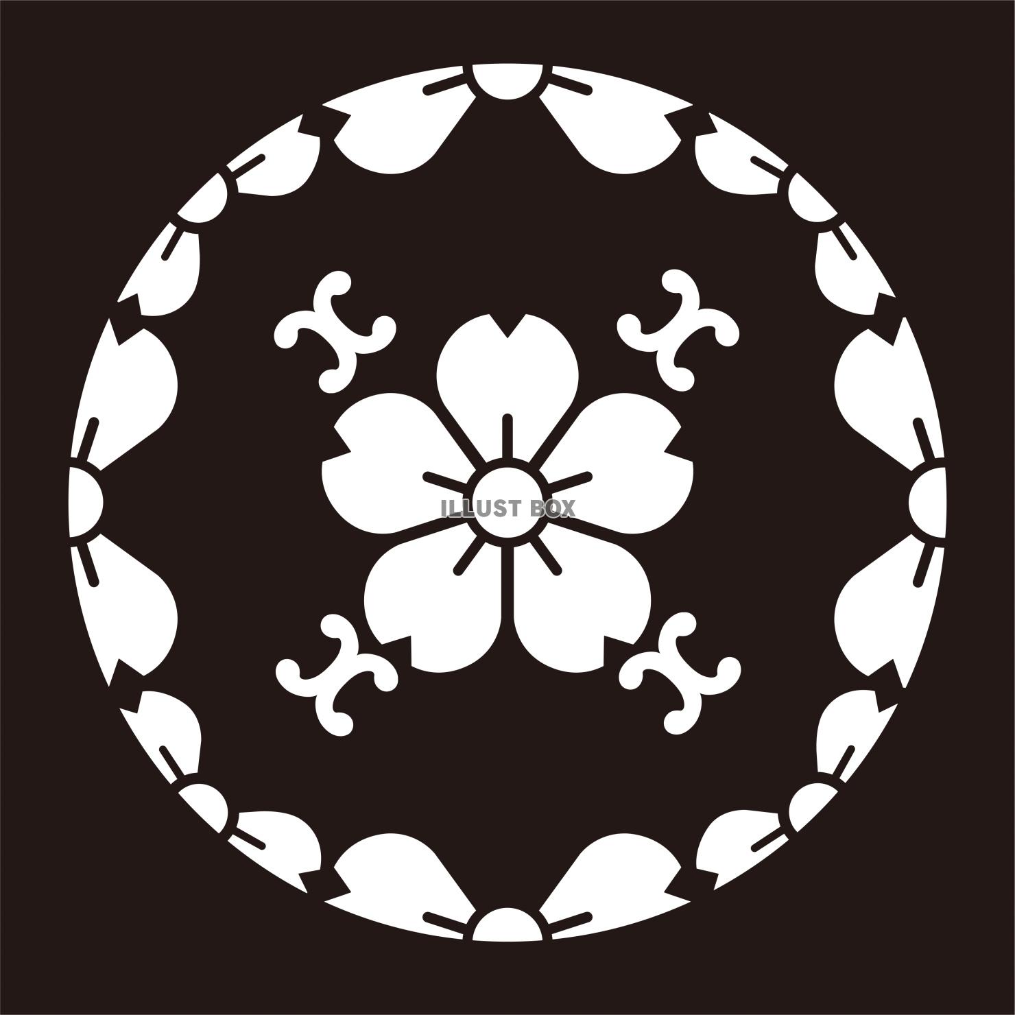 家紋　桜紋　
