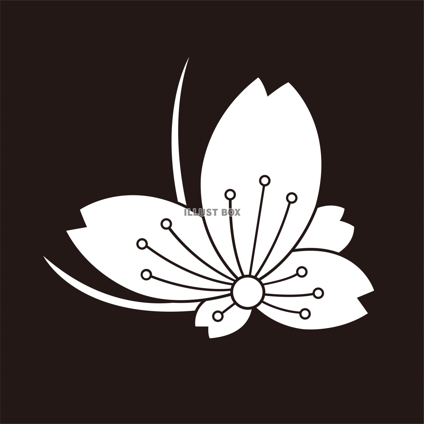 家紋　桜紋　