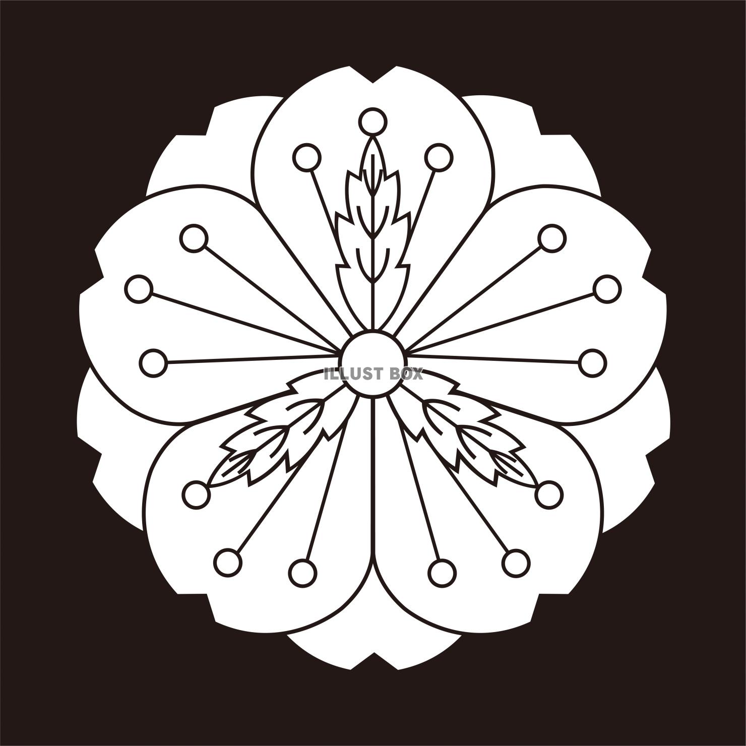 家紋　桜紋　