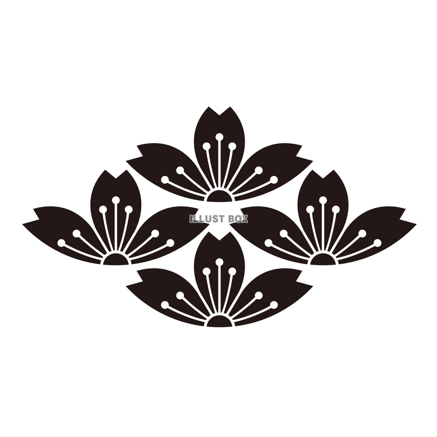 家紋　桜紋　