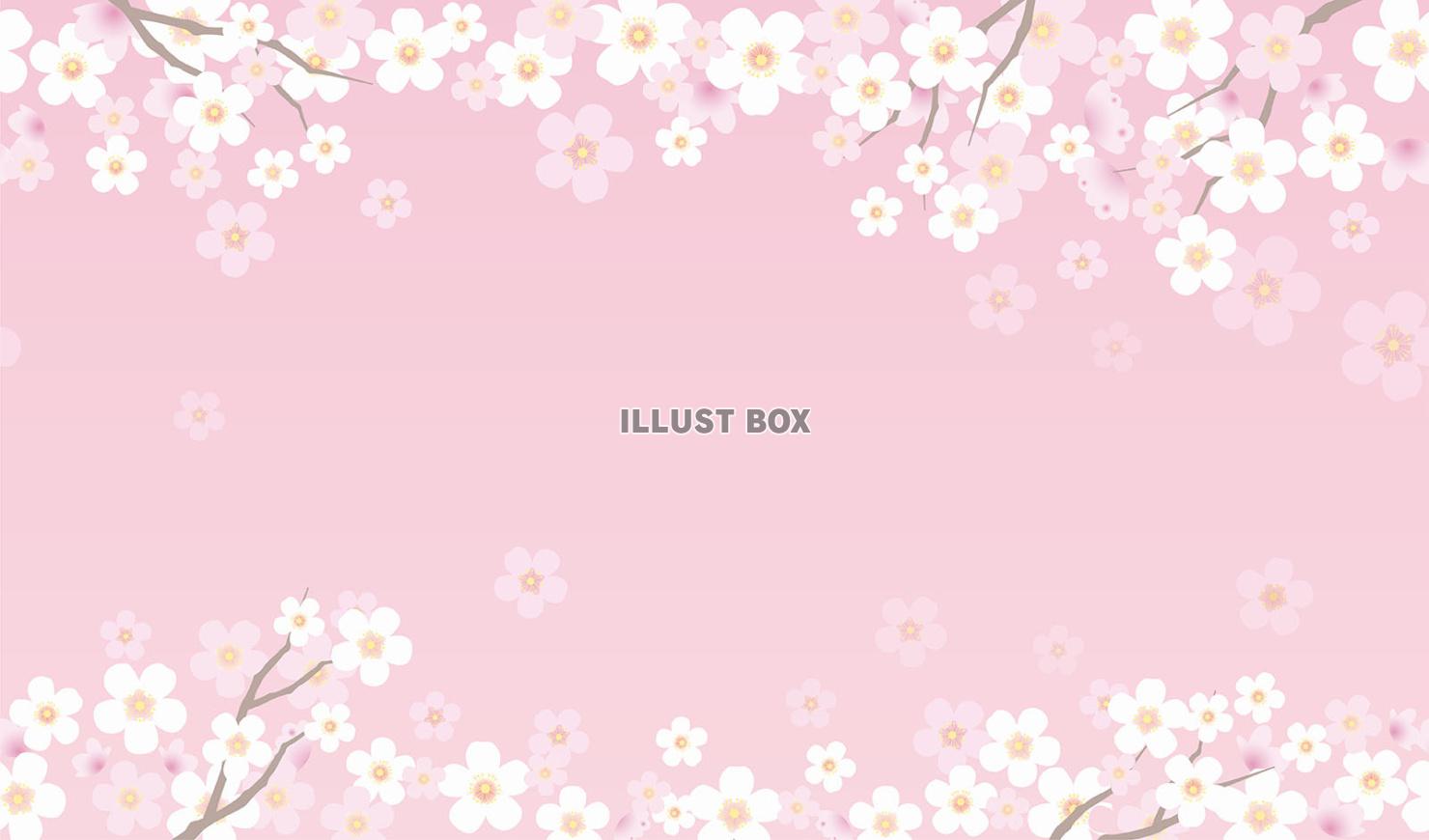 テキストスペース付き　シームレスな桜の背景イラスト
