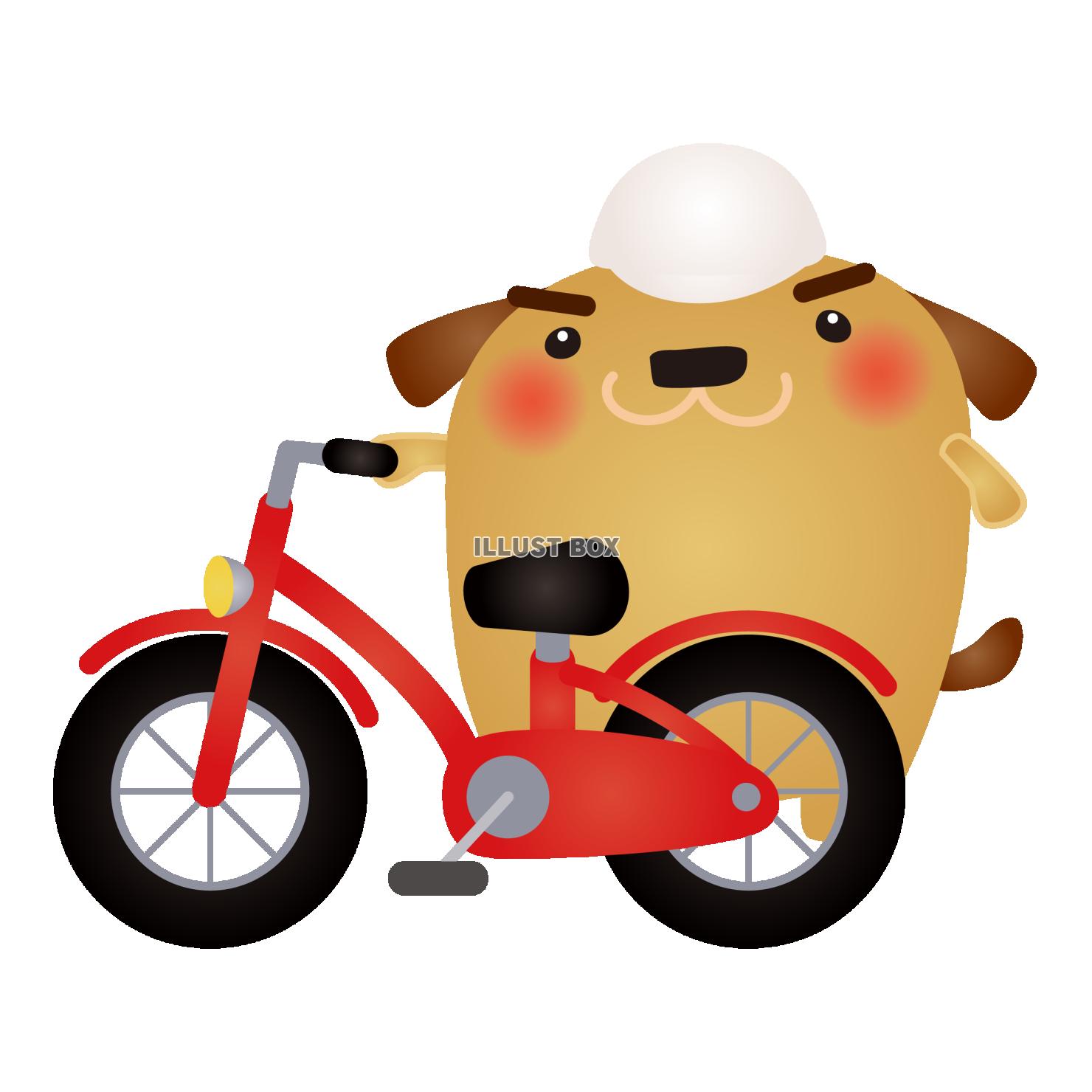 茶犬自転車