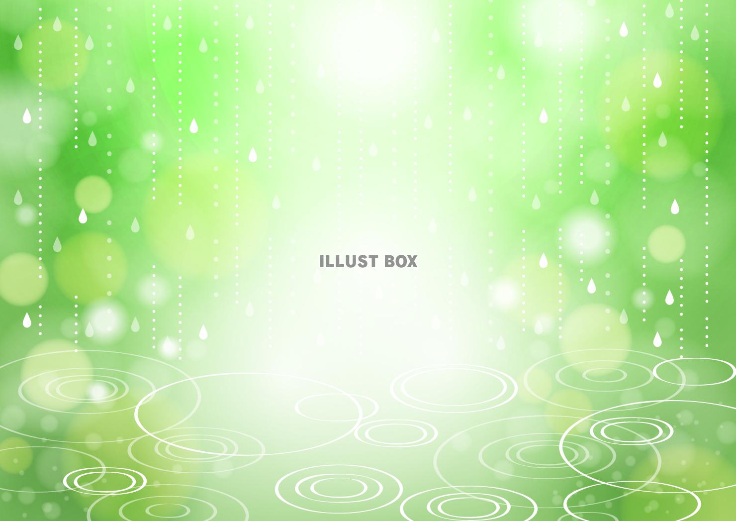 梅雨、雨、波紋、ほわほわ、緑、横