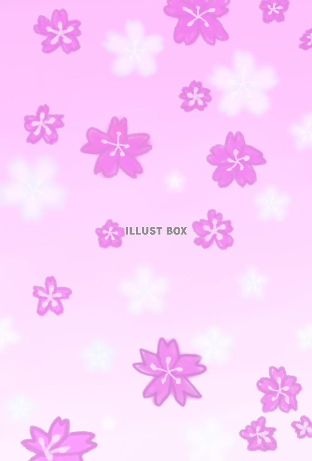 桜　パープル×ホワイト