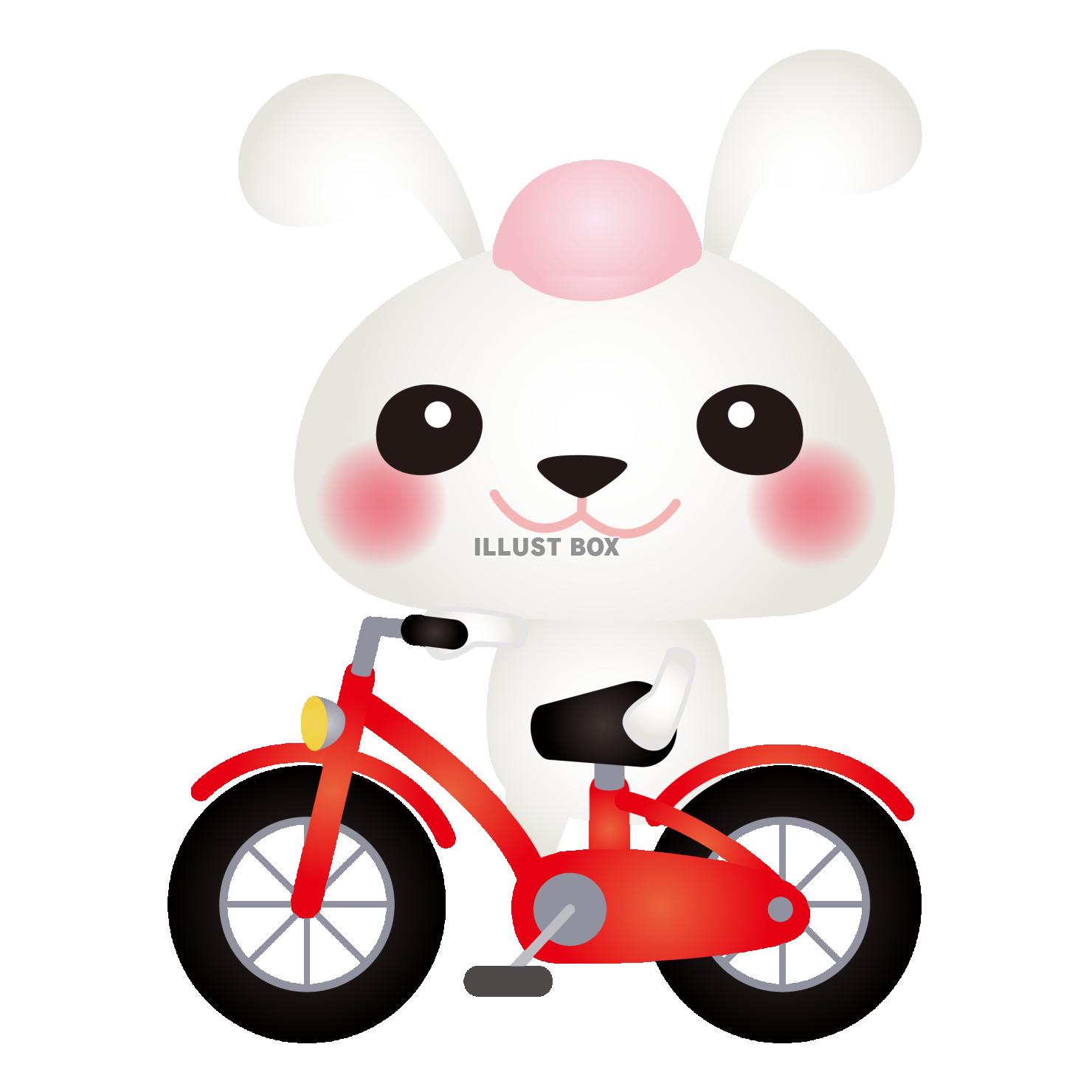 白うさぎ自転車