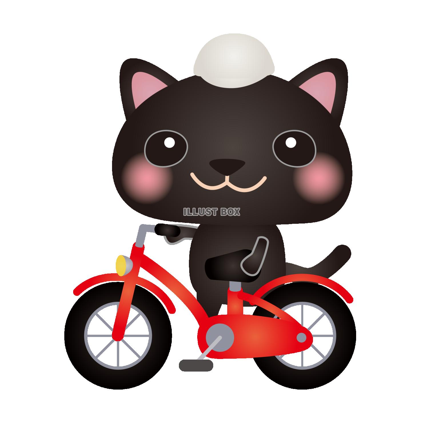 黒ねこ自転車