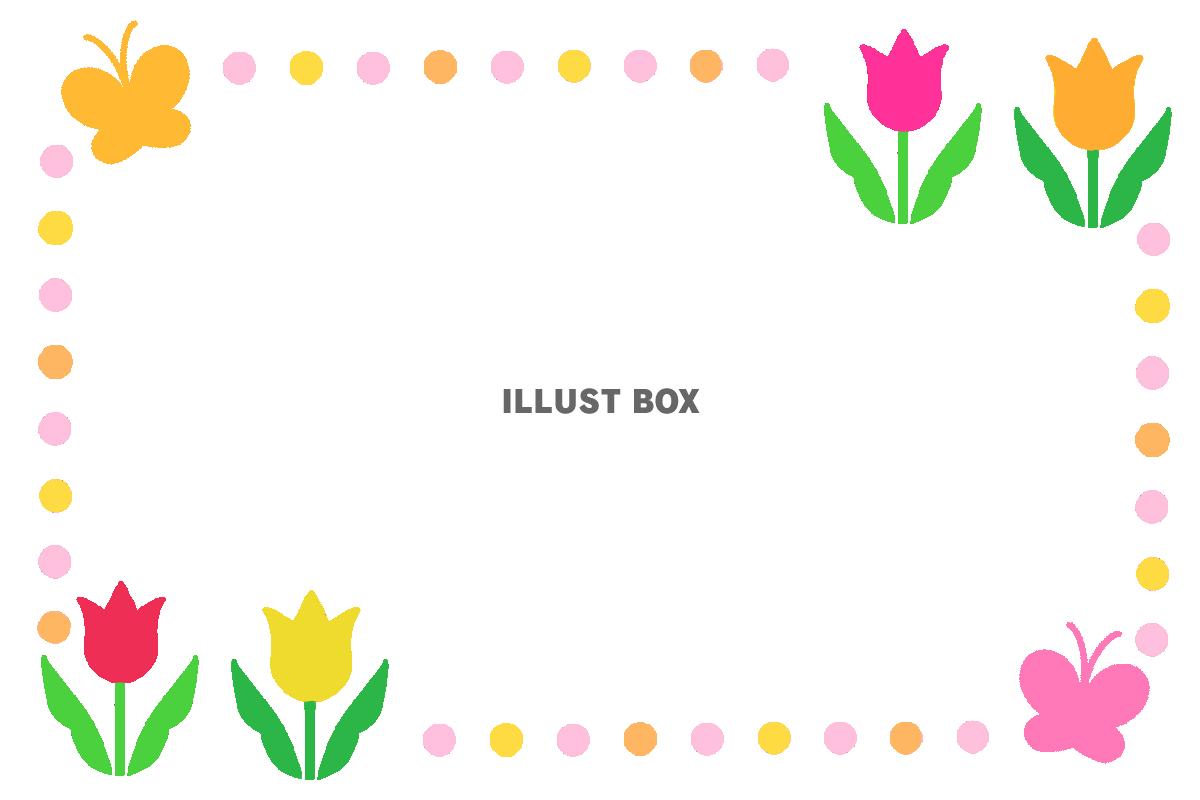 チューリップフレーム　透過png